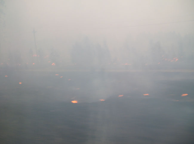      2010 
