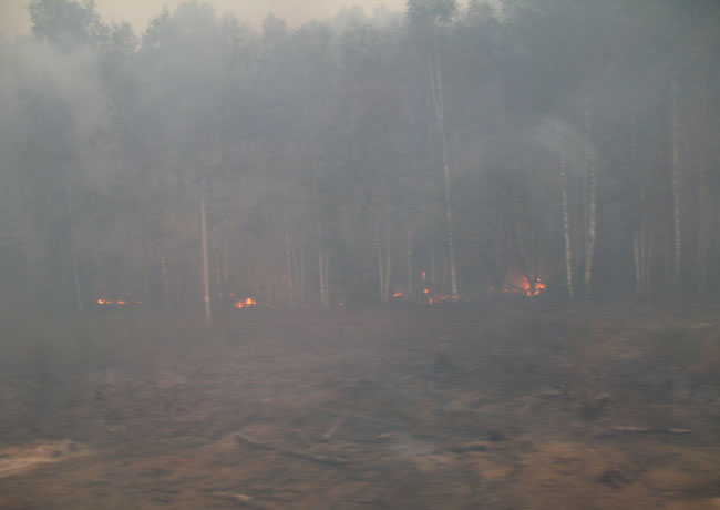      2010 