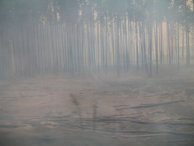      2010 