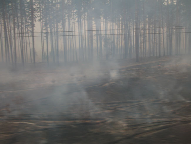      2010 